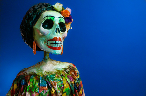 &lsquo;Frida&rsquo; Photographed by Chris Barberena instagram.com/thankschris/