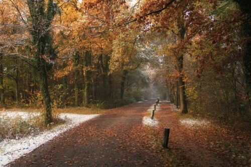 Frosty Fall on the Church Paths, De Lutte (The Netherlands)
