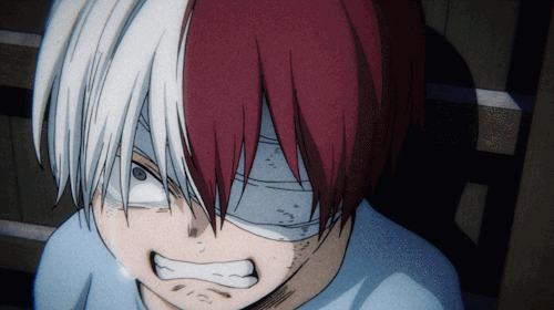 nakamatoo:Todoroki’s Development