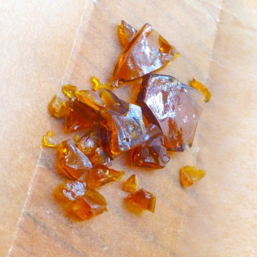 tinaa-coladaa:  Throwback Thursday to some dank ass blue dream shatter 🔥🔥🔥👅🍯