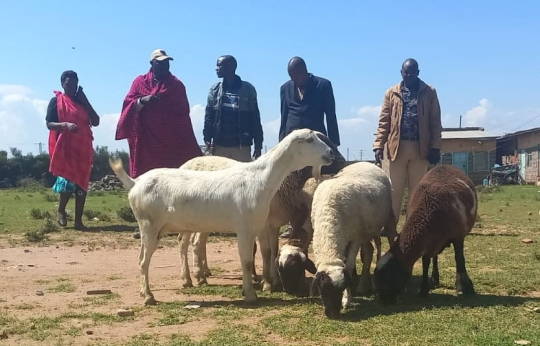 Chief Forcefully Sell Man's Sheep To Take his Girl To School