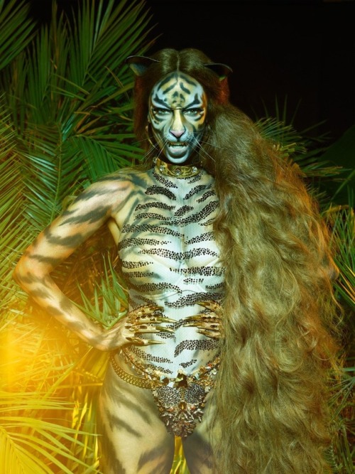 Porn Pics so-not-the-norm:  Tyra Banks as a fierce
