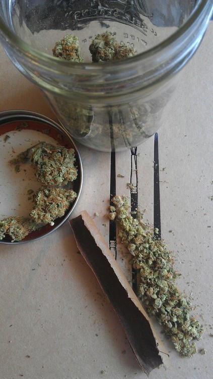 spaceandweed:  The Motions