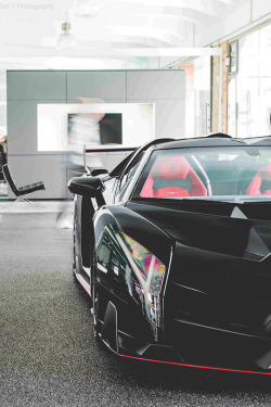 wearevanity:   Veneno © 