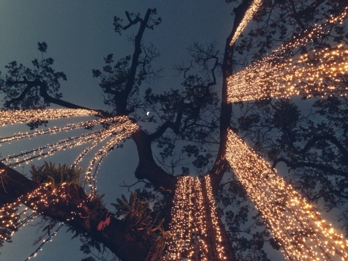 existential-celestial:temporary rest // no. 032418