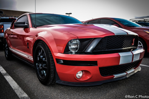 carpr0n:  Starring: Ford Mustang GT500 (By: Ron C Photo)