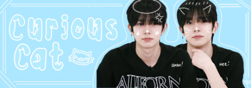 CURIOUS CAT Heeseung Not Bitchless