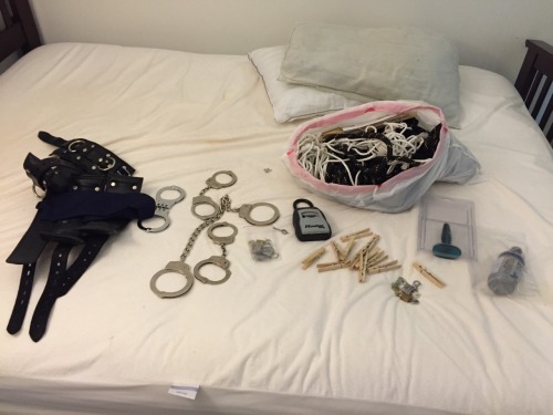 lockedandbound: What shall I play with today? Option E, All of the above.