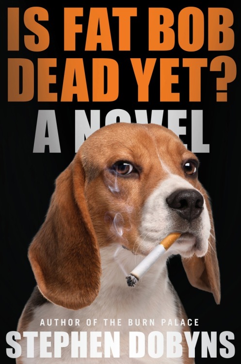 A terrific Booklist Starred review for Is Fat Bob Dead Yet? by Stephen Dobyns Award-winning poe