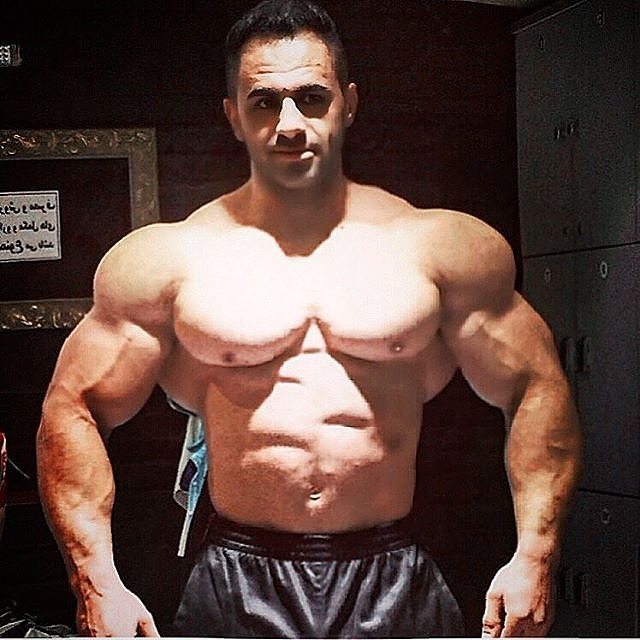 Yasin Amanipour