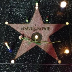 jareths-goblin-queen:  Hollywood Walk of