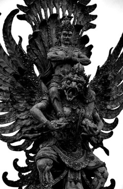 alekhhsandra:  Garuda, an enormous mythical bird, originated from Hindu mythology. A powerful predatory bird, he feeds exclusively on Nagas (serpents or dragon-like divine beings). 