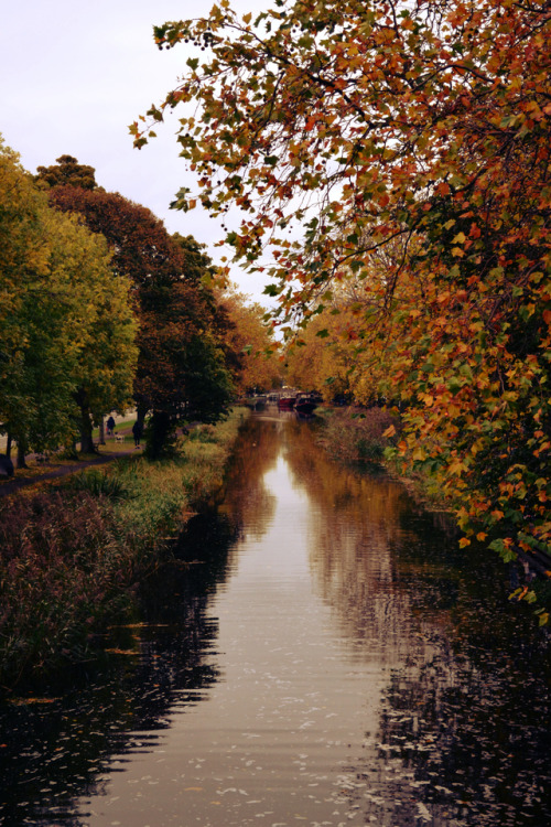 sean-o-neill-photography: The Grand Canal, Dublin