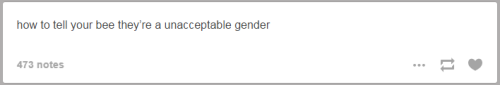 genderoftheday:Today’s gender of the day is: a gender that’s unacceptable for a bee(source)