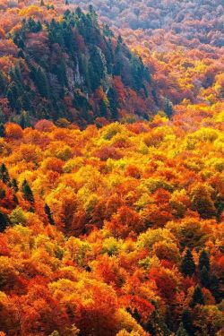 Lori-Rocks:  Autumn Ocean, Bulgaria Via Pinterest