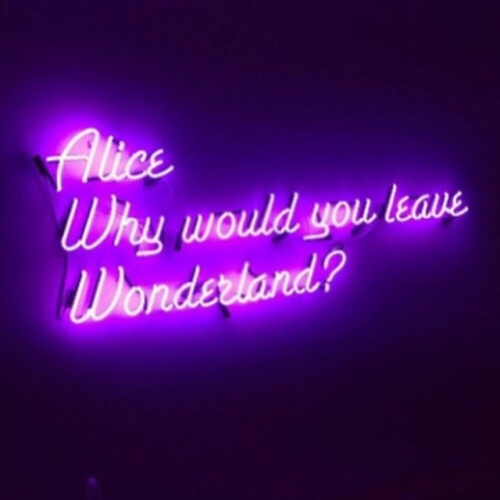 humbleenigma:  Asking the important questions 