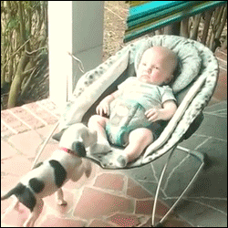 trinandtonic:  dontbearuiner:  lawebloca:  Friends  This is a very important post.  babies babying together 