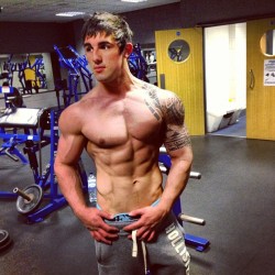 musculardude:  gym stud