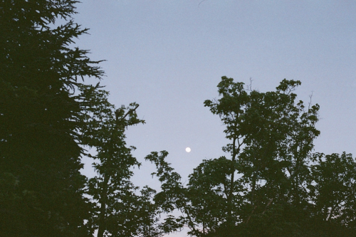 inferior: The moon be getting full with you By Tugce Erman