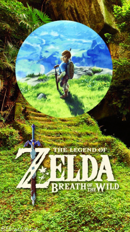 The Legend Of Zelda Breath Of The Wild… I want to buy a Wii U and this game soon because I need this