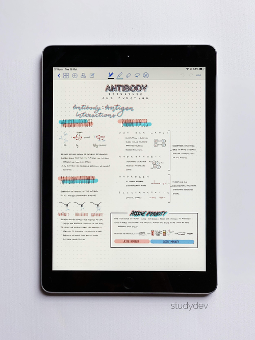 studydev: So… It’s been a minute. My bad Antibody Structure and Function P3. of 5