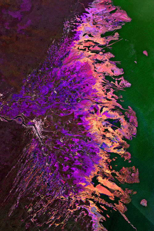 chill-adventurer: infinity-imagined: River Deltas around the world, imaged with the ASAR radar instr