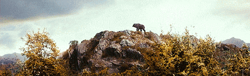 swayer-of-dale:MIDDLE-EARTH + Scenery [PartXIV]THE HOBBIT/THE LORD OF THE RINGSRandom Gif Edit- 61/?