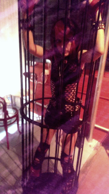murasaki-koneko:  This is what happens when I go out with my friends =^w^= Cage fun from my previous Empire =^×^= I must admit sharing it with a cite kittehn was more fun though (^////^) But there was less tormenting ;__;