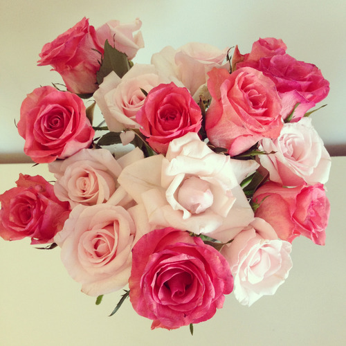 Late Night Discoveries | via Tumblr on @weheartit.com - weheartit.com/entry/66001887