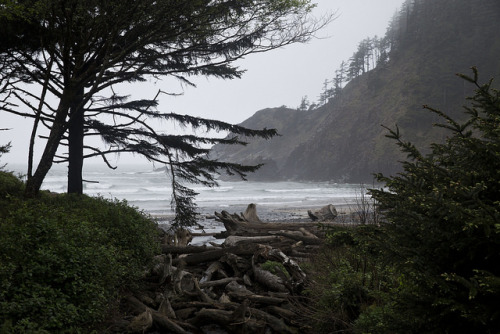 wistfullycountry: Oregon_0348 by Nicole Franzen Photography on Flickr.