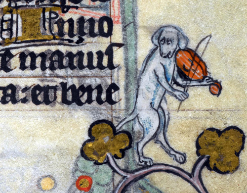 the dog and the fiddle‘The Maastricht Hours’, Liège 14th century.British Library, Stowe 17, fol. 172