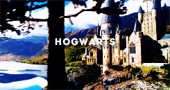  Harry Potter + Places 