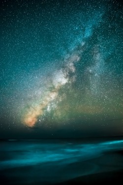 extragalacticy:    Photo by Casey Horner