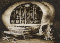 santiagocaruso:  WUNDERKAMMER / INK &