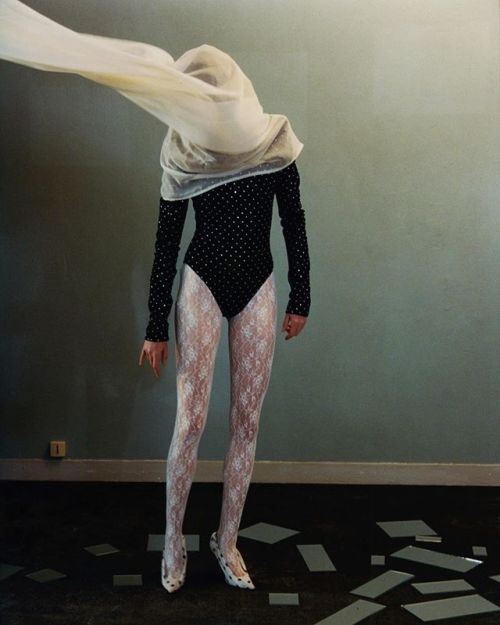 lolaveda:Harley Weir