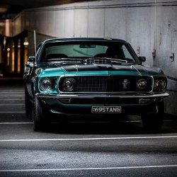 thegreywolf:  1969 Mustang 