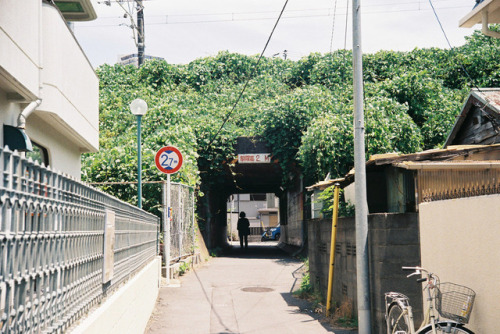 hisafoto: 溝の縁のその向こう 31 Ooguchi, Yokohama Leica IIIb + Jupiter3 50mm F1.5, FUJI 業務100 溝の縁のその向こうシリーズ