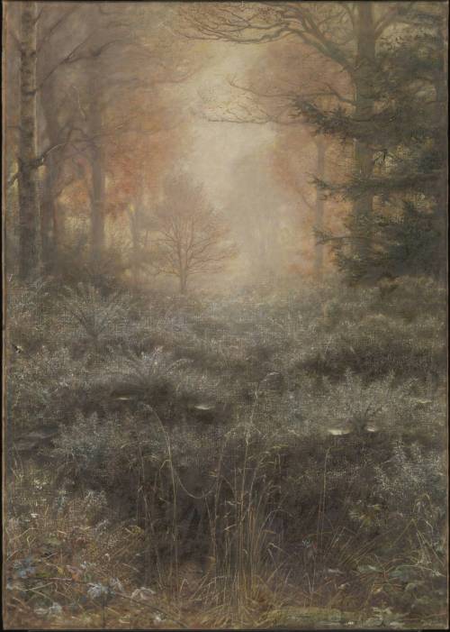 Dew-Drenched Furze, John Everett Millais, 1889, TatePresented by Geoffroy Millais in memory of his l