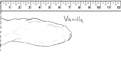 Vanilla Ice. Large, thick, prominent veins. Slight curve, small head.