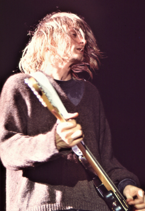 Kurt Cobain 