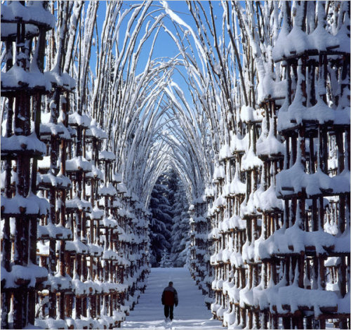 circularsunshine:   The Arte Sella, looks to be one of the most magical, fairytale woodlands in the world. Since 1986 this astounding destination in the Sella Valley in Italy has been dotting the landscape with the amazing works of over 200 contemporary