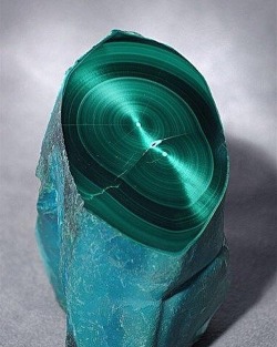 shannonl11:  Malachite and Raw Emerald