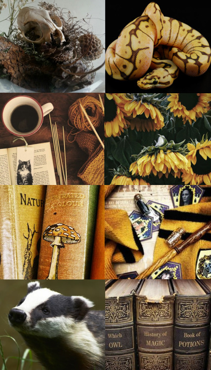 xtoxictears: HufflepuffAll ten of my first sets~