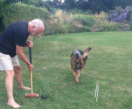 rockstarswithanimals: David Gilmour playing croquet with his German shepherd. 