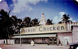 oldflorida:  Pickin’ Chicken, Miami Beach