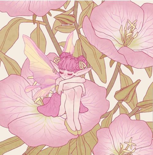 Colour Correspondences: Pink