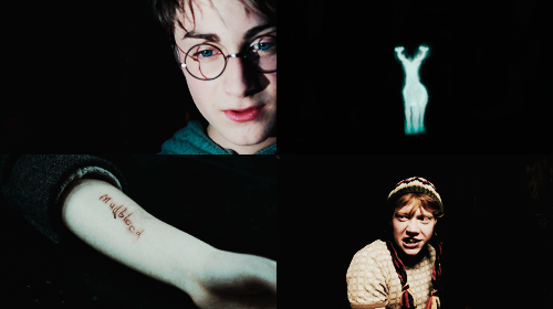 jennlawrnce2-deactivated2015091:  harry potter colors 