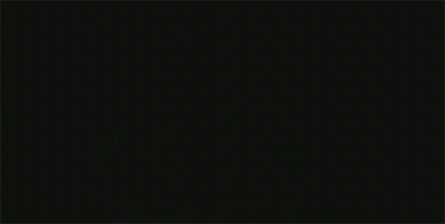 zeppelidies:the appropriate reaction to nintendos e3 showing