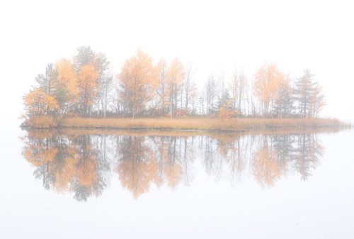 tiinatormanenphotography: What a misty autumn. It’s been super foggy around the clock almost 2