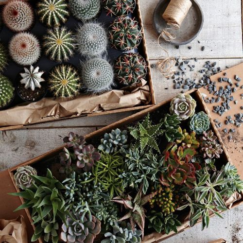 hidden-fox:  (via West Elm)